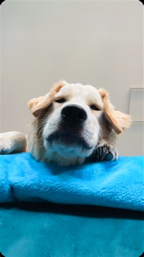 12 reactions · 3 comments | Simone Red Pagano on Reels | Facebook