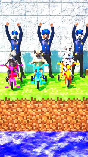 Cute Animals Challenge 🐶🐱🐄 | River Crossing Battle! 😍💦 #funny #comedy #shorts