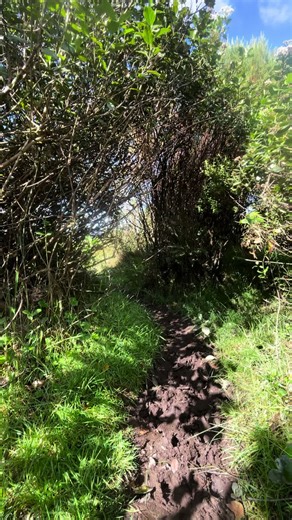 Amazing landscape 📸 #landscape #amazing #photography