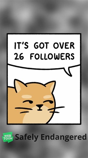 New Management | Safely Endangered