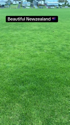 Discover the Stunning Beauty of New Zealand