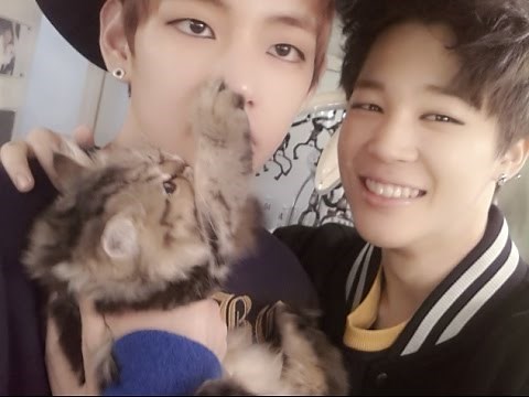 BTS with Animals Compilation