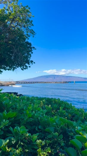 Aloha Mixed Plate on Instagram: "Today’s sights & sounds 🌊 We’ll save you a seat. Have a beautiful day🌴🌺 🕚 Open daily 11a-8p 📍1285 Front St., Lahaina 🍻Happy Hour 2p-4:30p 📱808-661-3322 💻www.alohamixedplate.com #AlohaMixedPlate #OnlineOrders #TakeOut #HeleMaiAiCard #LahainaEats #IslandVibes #MauiLife"