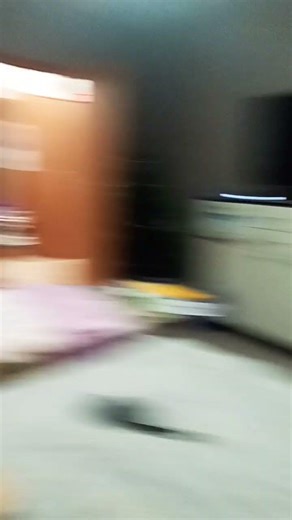 30 декабря 2025 г.