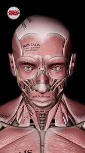 154K views · 2.2K reactions | Explore Cervical and Head Extension...