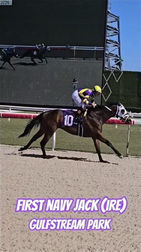 First Navy Jack (IRE) digs in to capture race 3, Tyler Gaffalione up for Mike Maker. #GulfstreamPark