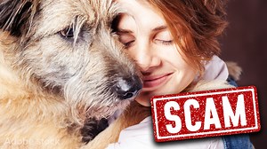 Scam Alert! Pet Rescue Cons