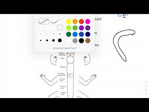 The CORTICOBULBAR TRACT (simple)