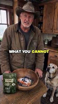 What I Feed My Dog to Live to 19