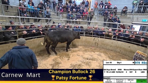 🏆 CHAMPION BULLOCK 🏆 Sponsored By: Kelly & Partners Accountants 🏆 Patsy Fortune - 978KG - LMX - €4750 - €4.86pkg ℹ️ For More Information: ☎️ Office: 053 942 6234 📱 Eugene: 087 992 2868 | Carnew Mart