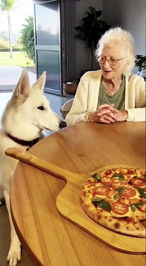 Train Your Dog Like A PRO with These SMART TIPS #usa