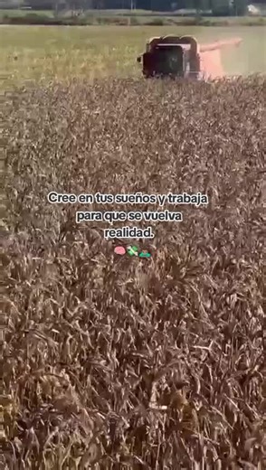 Inspiring Agricultural Dreams in Mexico