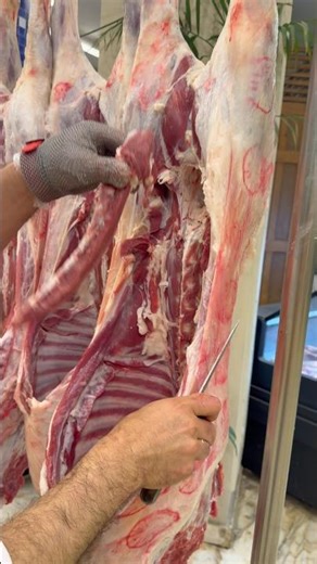 انعم قطعتين في الخروف اطمهم المرسيدس او الفلتو اعمل متابعه عشان تشوف الجديد #عيدسينالاللتقليد