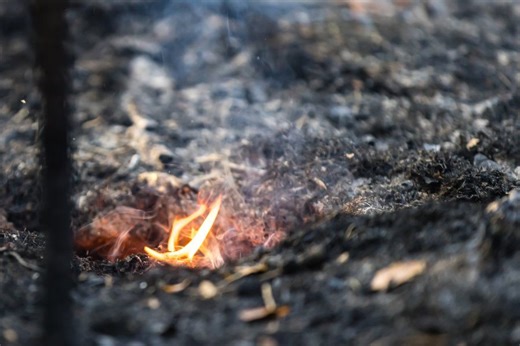 SC Forestry Commission issues statewide red flag fire alert