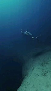 74K views · 44 reactions | Are you afraid of the open ocean? What is thalassophobia? Thalassophobia is an intense phobia or fear of large bodies of water. If you have thalassophobia, you may be afraid of the ocean, sea, and large lakes. Some people may deal with a little anxiety about the ocean. #oceanlife #marinelife #cryptid #cryptozoology #new #reels #cryptidxpose #giant | Michael Alonso | Facebook