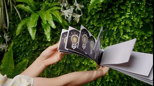 Chivao 60 Pcs Light Bulb Bulletin Board Borders Teaching Lightbulb Bulletin Board Trim Border Stickers Fun Chalkboard Decorations Teacher Student Use for Back to School Classroom Decor, 60 ft