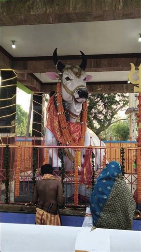 uma maheswar maha dev🙏❤️