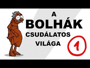 A bolhák csudálatos világa - csak egyszerűen (1. rész)