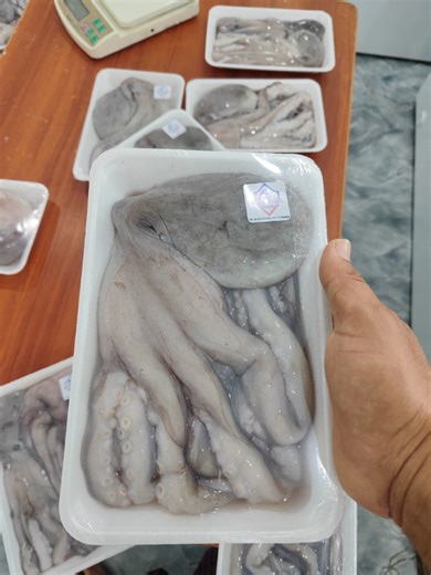 Blue Wave seafood & commodity distribution #Taunggyi #seafood #ပင်လယ်စာအစုံ #စားမယ်ဝါးမယ် #spy