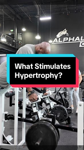 Elijah Mundy on Instagram: "Mechanical tension. That’s the answer. It’s not about how much you lift. Not about how many reps you do. Not how many total sets. Cuz you can do a single set of 3 reps and it’ll stimulate hypertrophy. What stimulates hypertrophy is one thing. How much stimulus you can achieve is a different question. Reread that. Cuz people not understanding such a simple distinction is why so many are confused and still end up positions where they require a deload. But let’s imagine.
