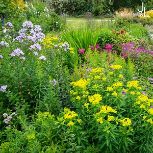 574K views · 6.2K reactions | A la recherche de plantes à installer en plein soleil au jardin ? Francis Peeters nous a fait une sélection d'arbustes, de vivaces et de bulbes super résistants à la chaleur. | Jardins et Loisirs - RTBF | Facebook