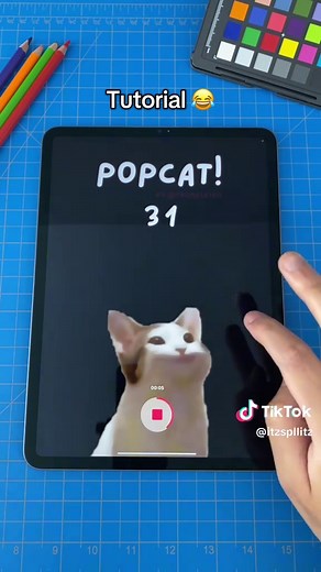Popcat Tutorial: Create Fun Cat Filters Easily