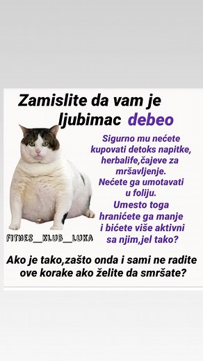 #treninguparu #individualnitrening #teretana #zemun #fitness #motivacija #zdravlje #fitnesstudio #personalnitrener #tegovi #vezbanje