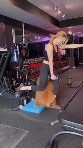 15K views · 1.9K reactions | Training focus  - Cat | Caity Lotz | Facebook