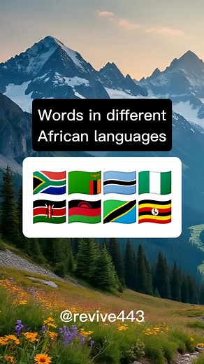 Explore African Languages: A Guide to South African Dialects