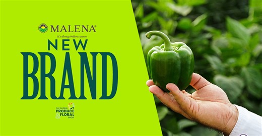 Malena Produce Marks 70 Years with New Brand Launch at IFPA GPFS 2024; John Davidson Comments