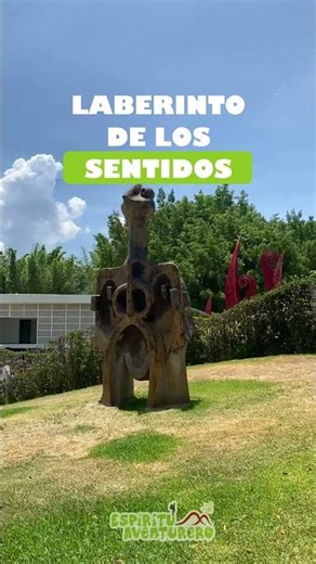 🌻🚌 ¡No te Pierdas Jardines de México en Nuestro Increíble Tour! 🌼🌲