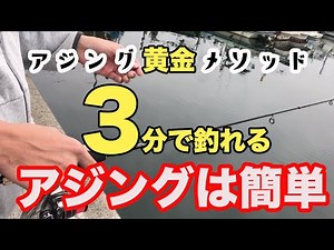 【アジング黄金メソッド】釣り方 基本編