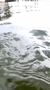 What was that? #diving | Jiggin' With Jordan