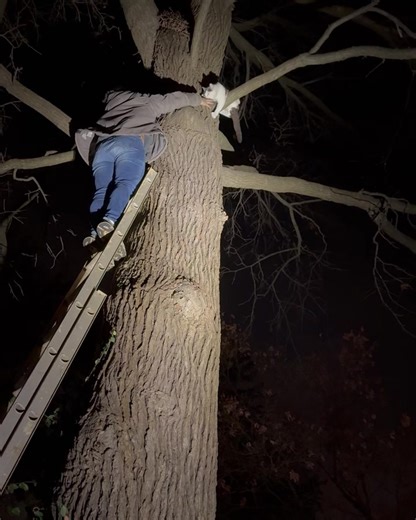Holy Lord, we got him!!! This kitty has been stuck in a tree since for 5 days, and 4 nights. Tonight he will be warm, inside, fed, and SAFE! 🙌🏻❤️ Thank you everyone for sending prayers, positive thoughts, and good juju! Please watch the full video on Tik Tok.🙏🏻 It is the happiest, sweetest ending, and this is why we do rescue day in and day out! Link in comments. (Please follow our Tik Tok account while you’re there.) I’m not crying, you’re crying.🥹 #pawportunities #rescue #shelter #animal 