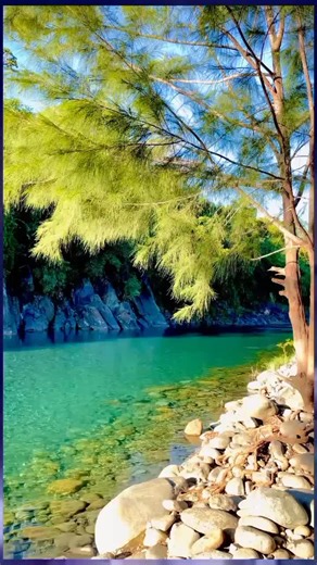 Tujhse Naras Nahin: A Hindi Song Exploring Emotions