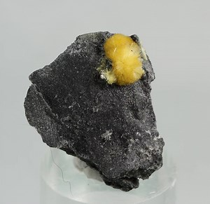 A lot of colour in our e-Rocks auction this week. Rare minerals from China such as Variscite, Olshankyite, Cyanotrichite and beautiful Fluorites https://e-rocks.com/items/auction/1195518/pristine-minerals-25-aug-01-sep-2019 | Pristine Minerals