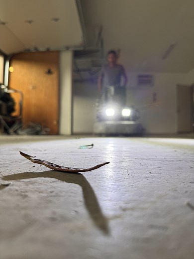 32 reactions | Imagine this floor in your garage  Shine, texture, and that effect that just makes everything look better. This Flakes System doesn’t just change your floor… It changes the way you see your garage.  | Capepoxy | Facebook