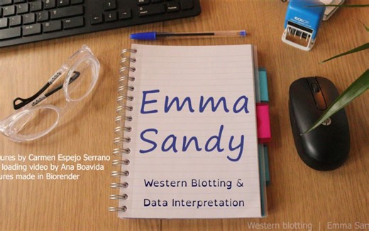 【熟肉】新手向实验技术指南，Western Blot Step-by-Step Protocol