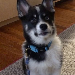 26 reactions · 3 comments | Impulse control skills are at the core of...