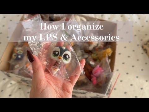 🐼 How I Organize My LPS & Accessories 2025 Edition 🐼