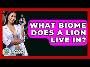 What Biome Does A Lion Live In? - Biology For Everyone