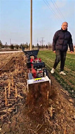 Mechanized farming with rotary tiller cultivating soil