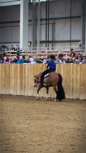 literally can’t wait to show this amazing mare again. when we don’t have saddle issues…. lol