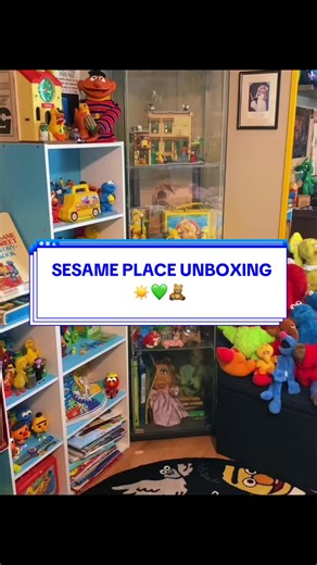 Sesame Place Mail Order Unboxing: Plush Haul & Merch Review