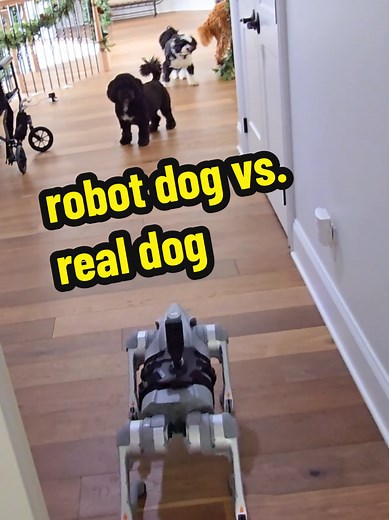 Surprising My Family With a New AI Robot Dog