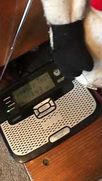 Required weekly test EAS#8