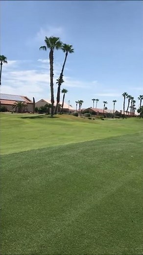 Sun City West Golfers have a special encounter at the Desert Trails Golf Course
