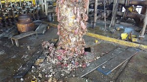 Old Multi String Casing Conductors Pulled Stock Footage Video (100% Royalty-free) 1053522539 | Shutterstock