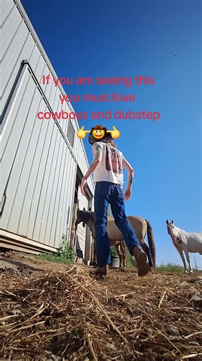 You can hear this flip on my new mix on soundcloud! let me be honest its got a variety of edm songs with some awesome remixes, flips, and mashups i made. #edmtiktok #edm #ravecowboy #horses #dj