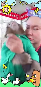 571K views · 10K reactions | This monkey is very smart and can comfort when the owner is angry | Dark. | Facebook